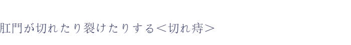 いぼのようなふくらみができる<いぼ痔>